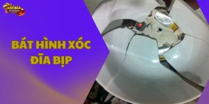 Bát hình xóc đĩa bịp