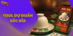 Tool dự đoán xóc đĩa